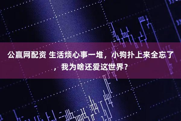 公赢网配资 生活烦心事一堆，小狗扑上来全忘了，我为啥还爱这世界？