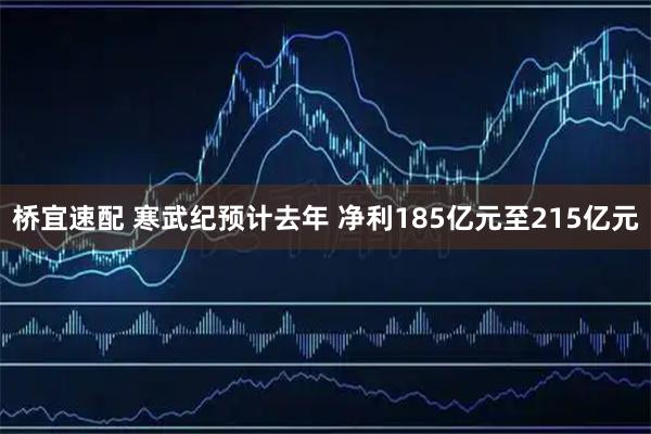 桥宜速配 寒武纪预计去年 净利185亿元至215亿元